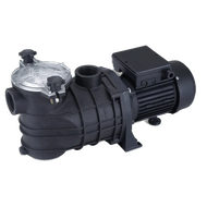 Насосы для бассейнов