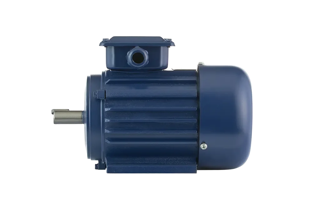 Промышленный электродвигатель UNIPUMP БЭЗ АИР 100S4 IM1081